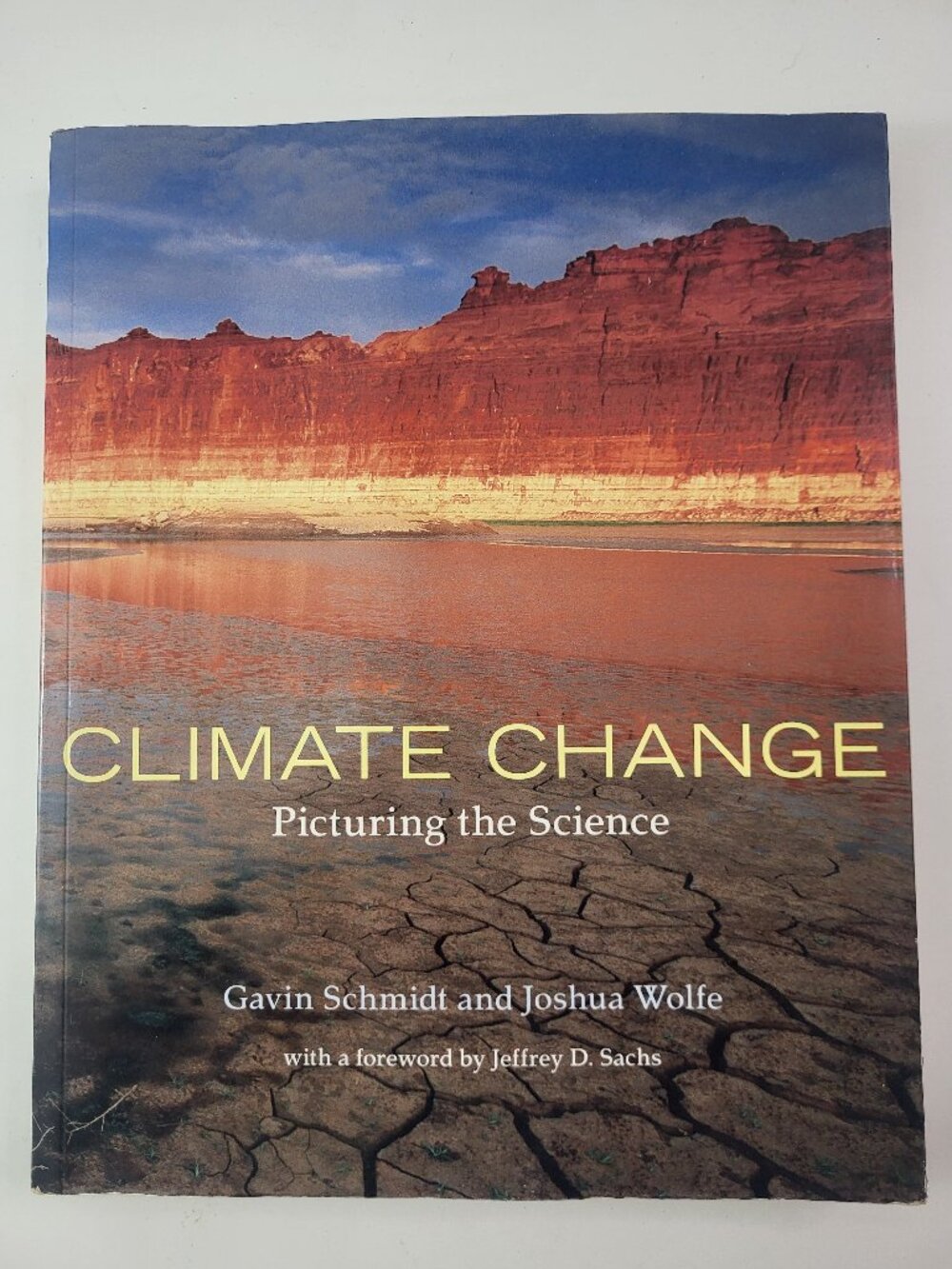 Climate Change: Picturing the Science by Gavin Schmidt & Joshua Wolfe